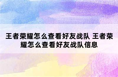 王者荣耀怎么查看好友战队 王者荣耀怎么查看好友战队信息